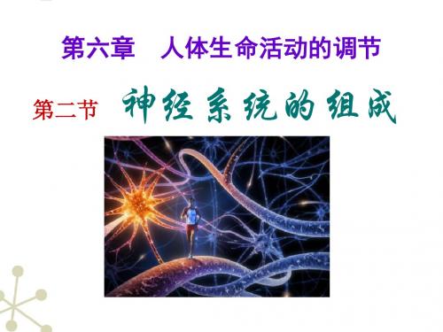 人教版七年级生物下册《科学家的故事 王应睐组织我国科学家率先合成结晶牛胰岛素》公开课课件_27