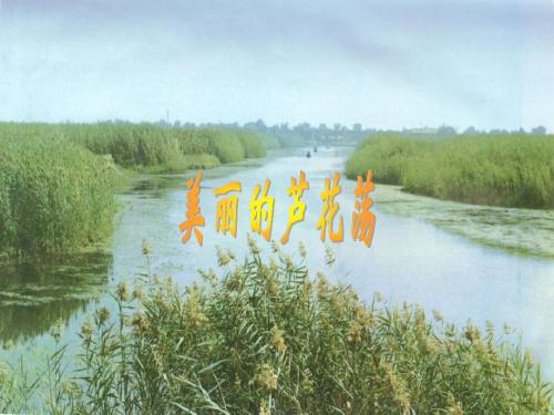 《芦花荡》优质课课件