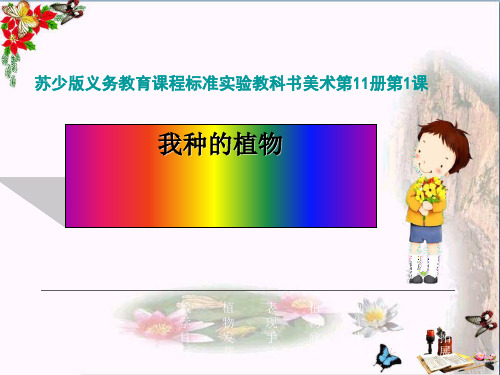 六年级美术上册我种的植物PPT课件2