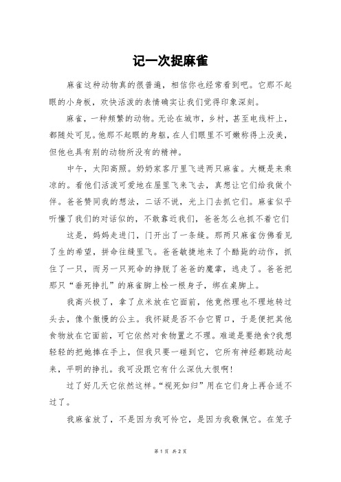 记一次捉麻雀_五年级作文