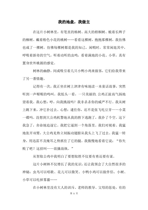 我的地盘,我做主