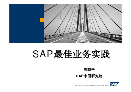 SAP最佳业务实践