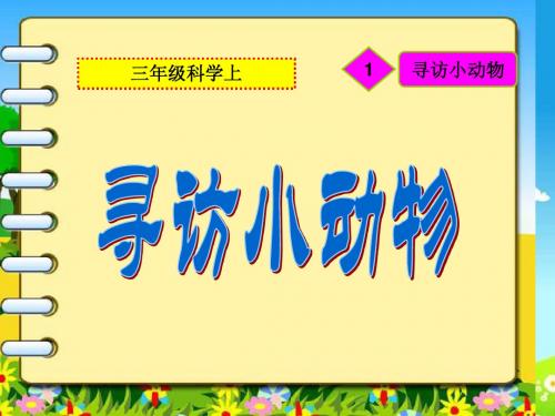 教科版科学三上《寻访小动物》ppt课件