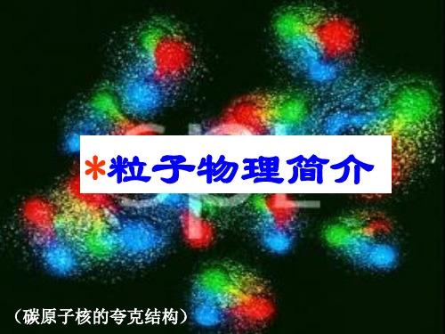 粒子物理简介PPT课件