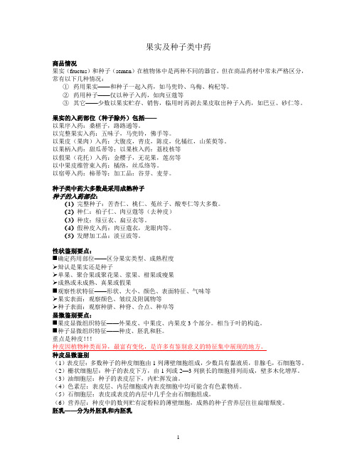 果实及种子类中药文字版