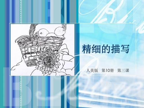 人美版五年级美术下册《精细的描写》课件