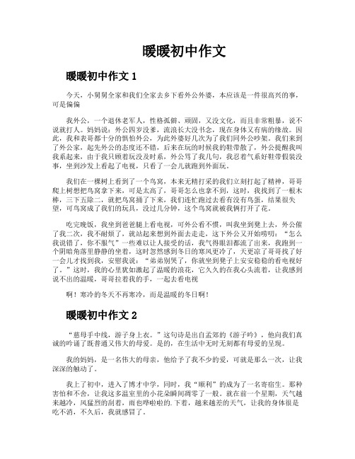 暖暖初中作文