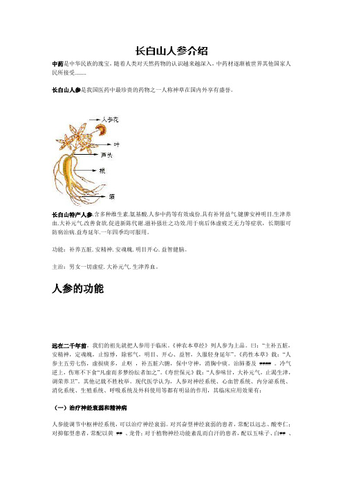 长白山人参介绍