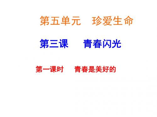 初一政治下学期青春闪光-第一课时-粤教沪科版