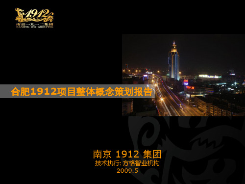 合肥1912创新文化商业街区项目定位及概念策划(2009)