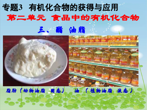 酯与油脂PPT课件