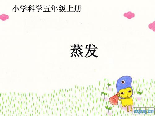 青岛版小学科学五年级上册《蒸发》课件1