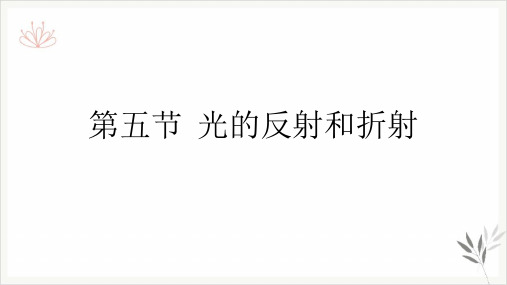 浙教版七年级下科学《光的反射和折射》完美课件2