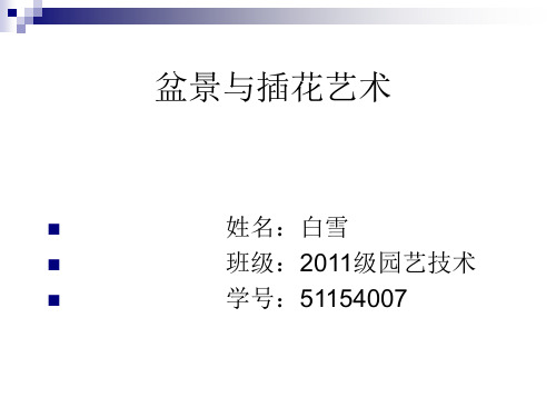 盆景课件ppt
