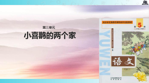 2021北京版小学语文三年级上册《小喜鹊的两个家》.pptx教学课件