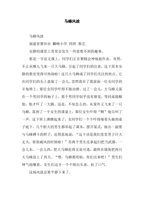 马蜂风波_5