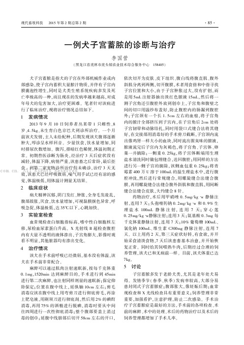 一例犬子宫蓄脓的诊断与治疗