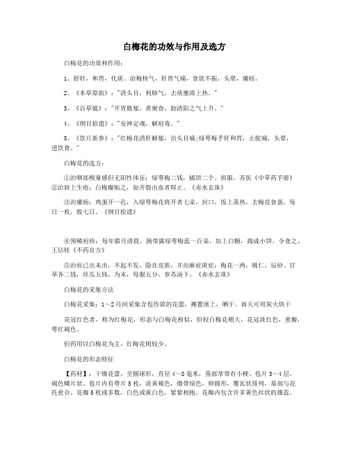 白梅花的功效与作用及选方