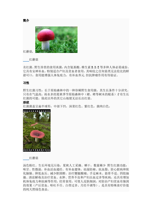红蘑菇简介