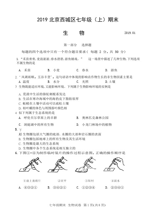 2019北京西城区七年级(上)期末生物(WORD,含答案 图和排版)