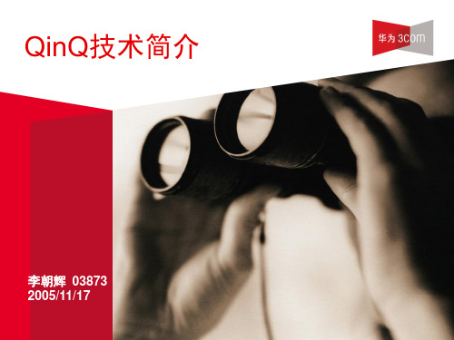QinQ简介原理