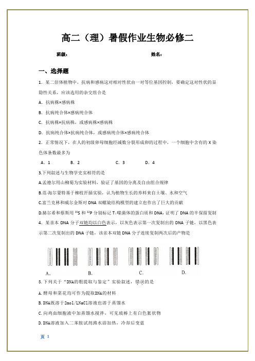 高二假期作业生物必修二