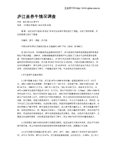 庐江县养牛情况调查