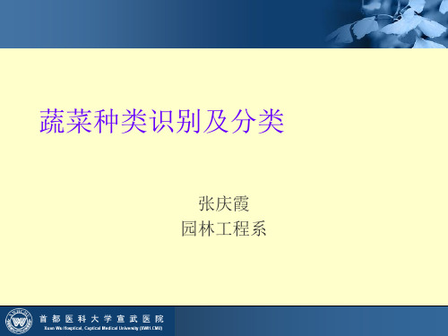 蔬菜种类识别及分类