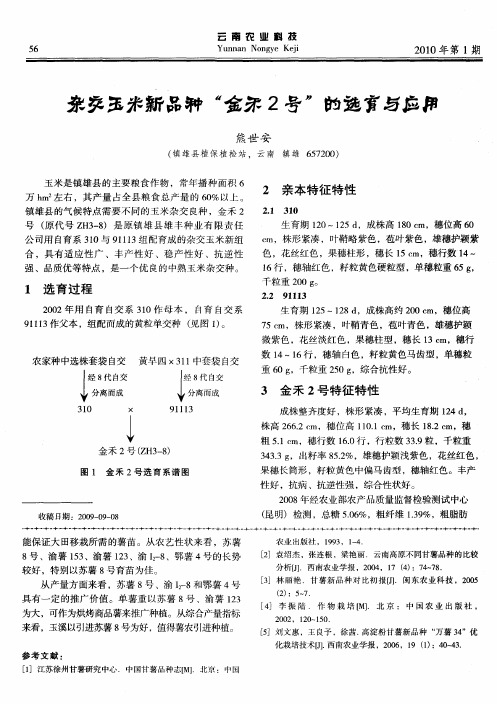 杂交玉米新品种“金禾2号”的选育与应用