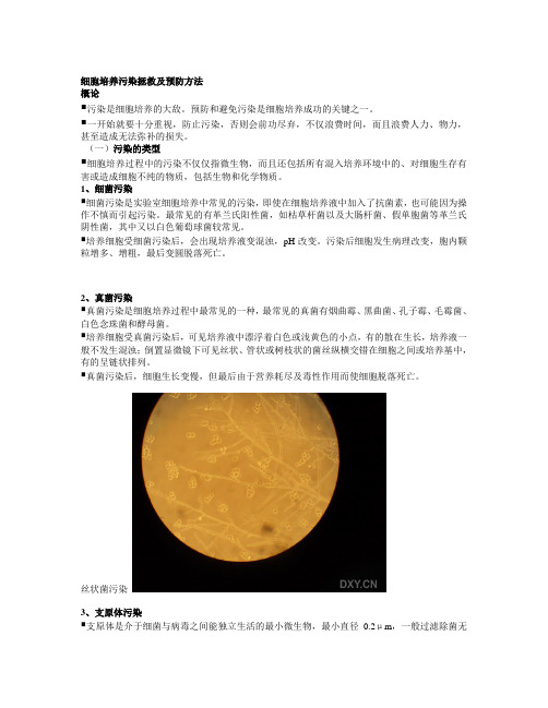 细胞培养污染拯救及预防方法