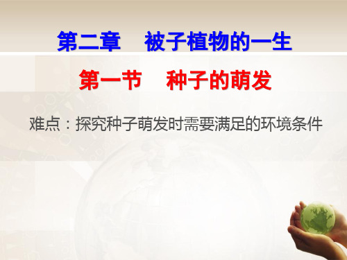 七年级生物上册教学课件-3.2.1种子的萌发(1)-人教版