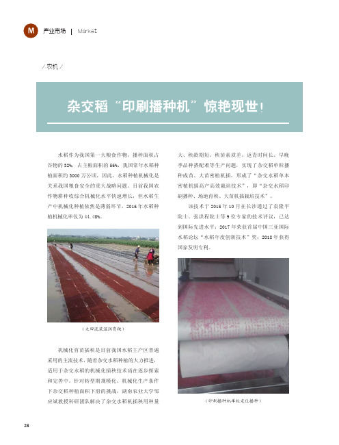 杂交稻“印刷播种机”惊艳现世!