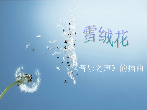 雪绒花