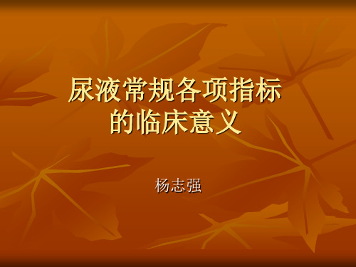 尿液11项指标的意义2011