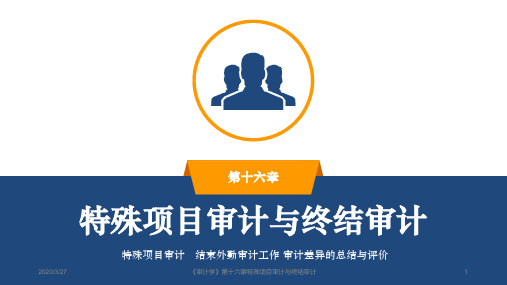 第16章-特殊项目审计与终结审计