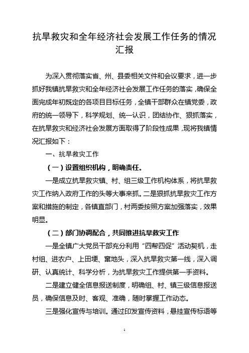 关于红水河镇抗旱救灾和全年经济社会发展工作任务的情况汇报