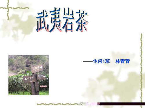 武夷岩茶.ppt