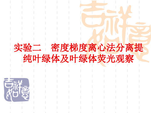 高中生物 实验二 密度梯度离心法分离提纯叶绿体及叶绿体荧光观察
