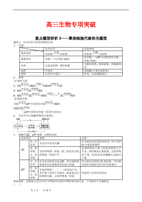 高三生物专项突破 考能专项突破3 聚焦细胞代谢相关题型