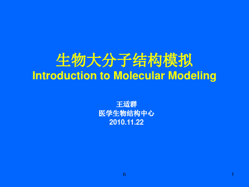 生物大分子结构模拟