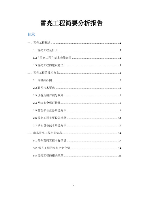 雪亮工程简要分析报告