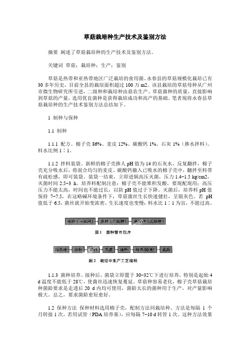 草菇栽培种生产技术及鉴别方法