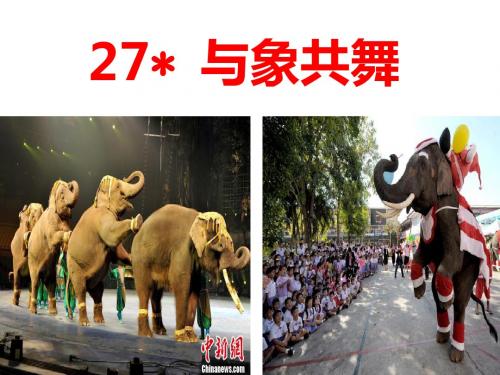 公开课课件 五年级下册27课 与象共舞
