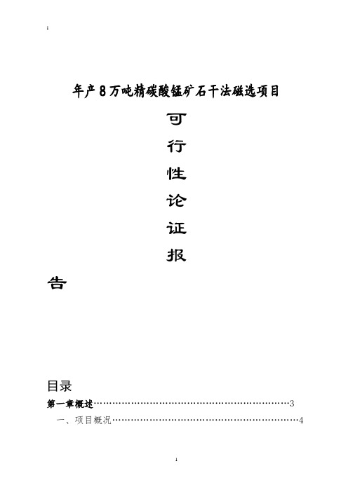 年产8万吨精碳酸锰技术改造项目可行性研究报告