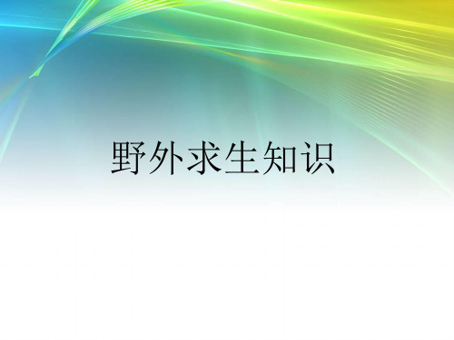 野外求生知识