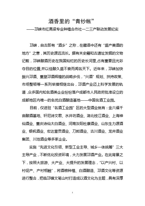 红高粱合作社经验材料