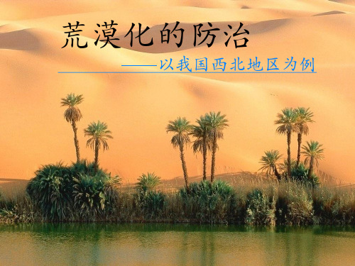 荒漠化的防治优秀课件