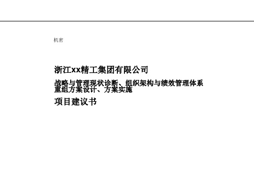 华彩项目咨询建议书