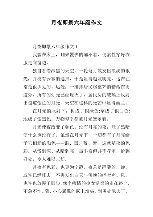 月夜即景六年级作文