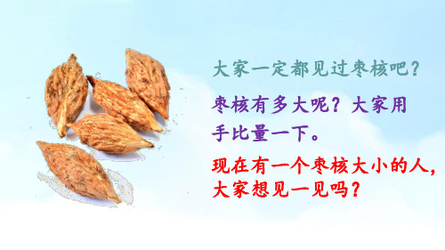 部编版语文三年级下册28枣核